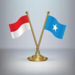 República Dominicana establece relaciones diplomáticas con Somalia y firma acuerdo de visado con Indonesia