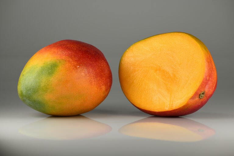 RD completa las correcciones en Peravia y apunta a reanudar la exportación de mango a EE. UU. en 2027