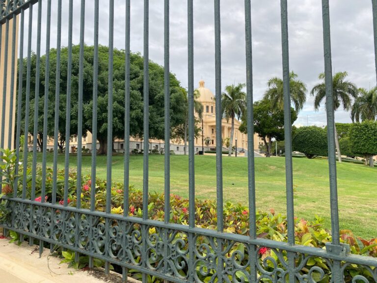 Abinader recibe en Palacio a los cinco jóvenes del récord Guinness de lectura en voz alta