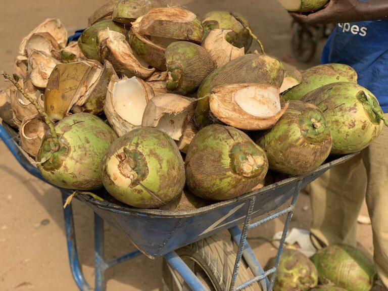 Agua de coco: la bebida tradicional para hidratarse en el calor, con sus beneficios y sus límites