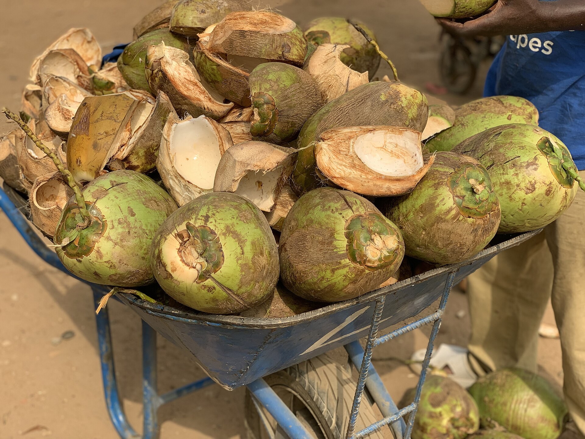 Agua de coco: la bebida tradicional para hidratarse en el calor, con sus beneficios y sus límites