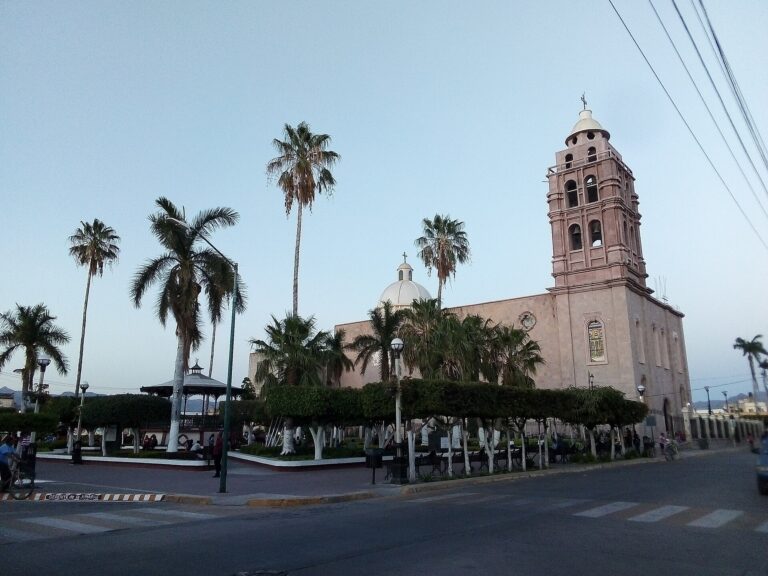 Atacan a balazos un autobús con estudiantes en Sinaloa y el chofer herido logra ponerlos a salvo