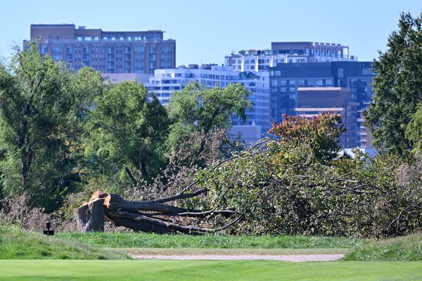Jueza frena la tala de árboles en el campo de golf de East Potomac impulsado por Trump