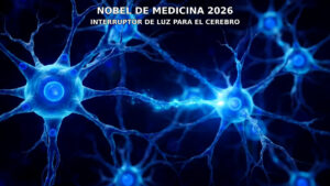 Nobel de Medicina 2026: el interruptor de luz que controla el cerebro