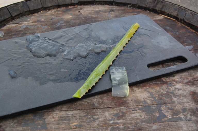 Sábila para las quemaduras leves del sol: cómo usar el gel de aloe vera con precaución
